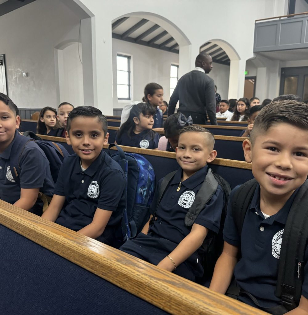 20240828_213459068_iOS